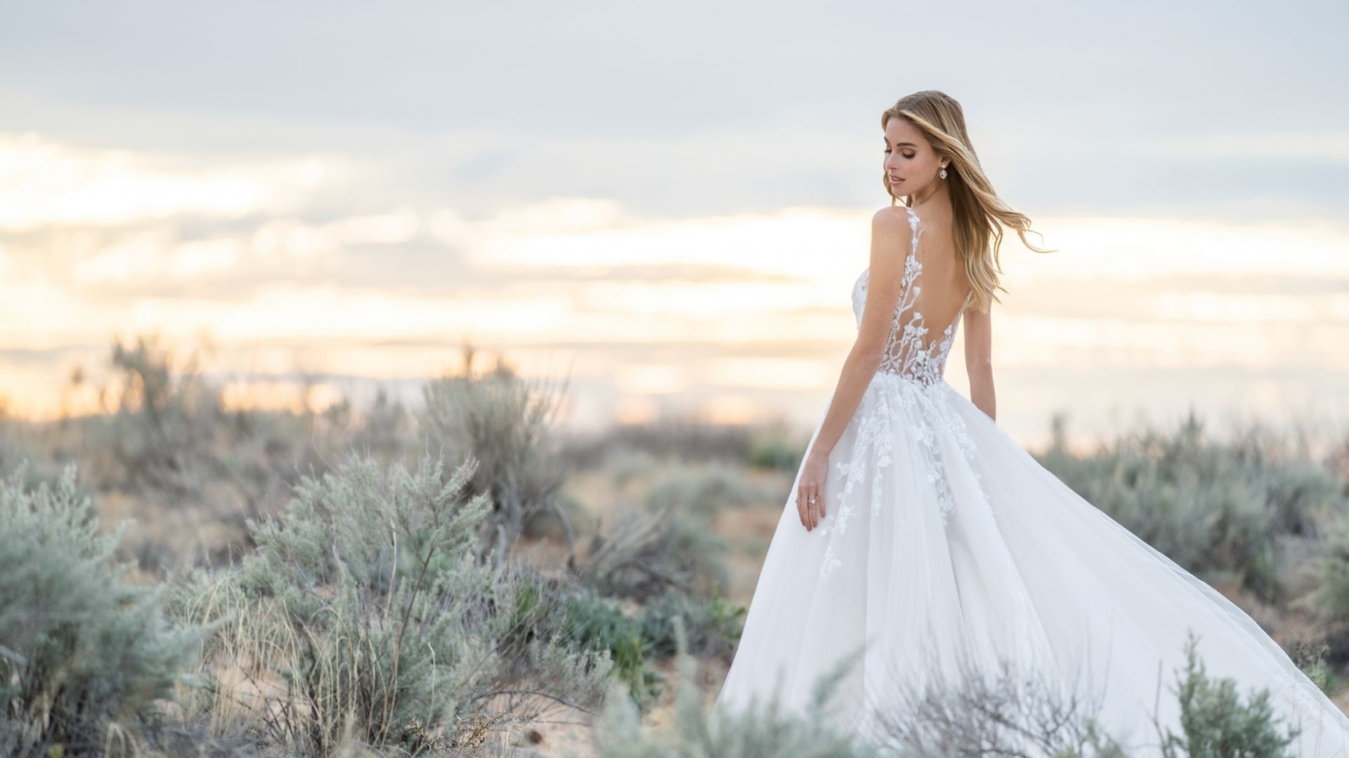 3358 AD9 f41141d5d5533fee4fe8652e6f12bcde