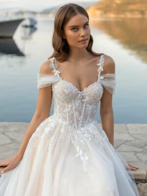Belle Robe de Mariée Princesse 5 H95cea58efa0746369202f105ae8bb7229 Cropped